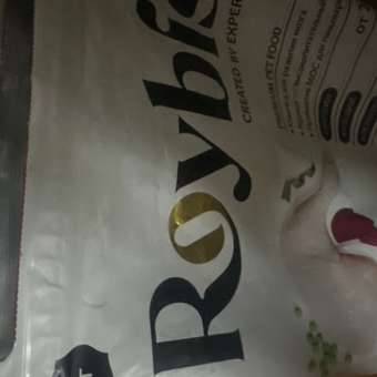 Корм для котят Roybis 4кг сухой с курицей полнорационный для активного роста и развития: отзыв пользователя. Зоомагазин Зоозавр