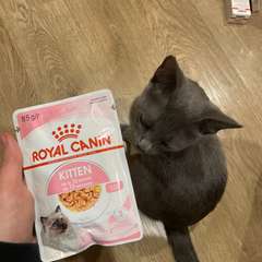 Фото отзыва 10337036