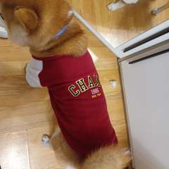 Фото отзыва 10952081