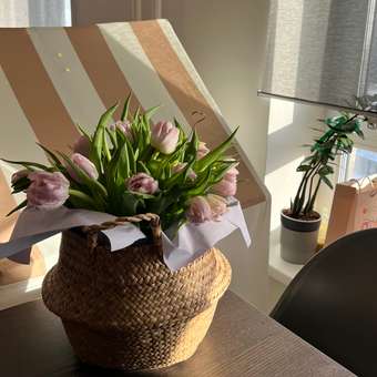 Палатка BabyGo Сельский домик: отзыв пользователя Детский Мир