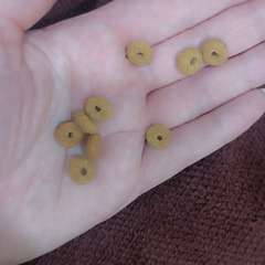 Фото отзыва 10444148