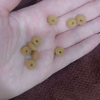 Корм для собак ROYAL CANIN Ньютрид Эдалт Смол Догз 0.8кг: отзыв пользователя. Зоомагазин Зоозавр