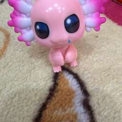 Фото отзыва 10840869