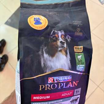 Корм сухой для собак PRO PLAN SENSITIVE DIGESTION 1.5 кг с ягненком для средних пород: отзыв пользователя. Зоомагазин Зоозавр