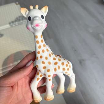 Прорезыватель Sophie la girafe Жирафик Софи: отзыв пользователя Детский Мир