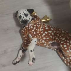 Фото отзыва 10499994