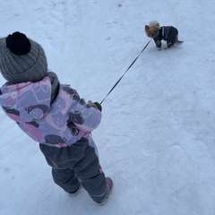 Фото отзыва 10999474