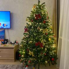 Фото отзыва 10748103