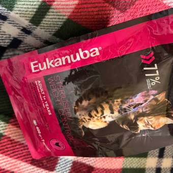 Корм сухой для кошек Eukanuba Cat 400г птица с избыточным весом и стерилизованных: отзыв пользователя. Зоомагазин Зоозавр