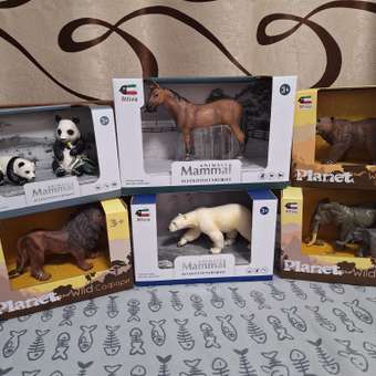 Игровой набор Attivio: отзыв пользователя Детский Мир