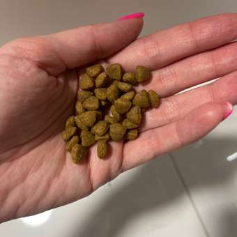 Корм для щенков ROYAL CANIN Gastro Intestinal Junior GIJ29 при нарушениях пищеварения 1кг: отзыв пользователя. Зоомагазин Зоозавр