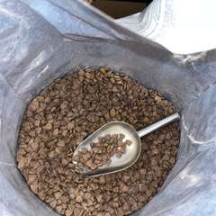 Фото отзыва 2221509