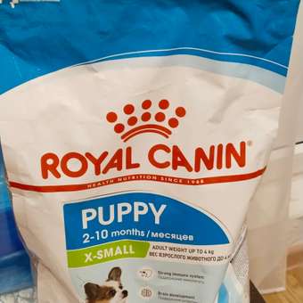 Корм для щенков ROYAL CANIN X-small Puppy миниатюрных пород 500г: отзыв пользователя. Зоомагазин Зоозавр