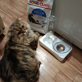 Корм сухой для кошек ROYAL CANIN Indoor Long Hair 2кг домашних длинношерстных: отзыв пользователя. Зоомагазин Зоозавр