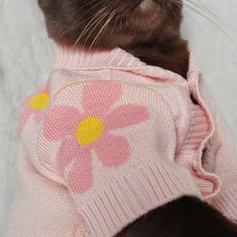 Кардиган для собак Зоозавр: отзыв пользователя. Зоомагазин Зоозавр