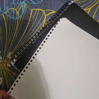 Альбом Brauberg А4: отзыв пользователя Детский Мир