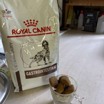 Корм для собак ROYAL CANIN гигантских пород более 45кг 15кг: отзыв пользователя. Зоомагазин Зоозавр