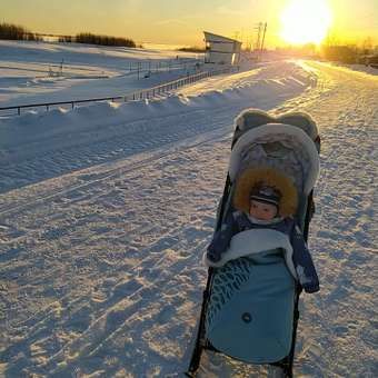 Санки-коляска Ника: отзыв пользователя Детский Мир