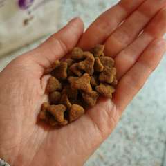 Фото отзыва 11041311