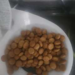 Фото отзыва 10517955