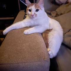 Фото отзыва 10929548