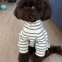 Фото отзыва 11128298