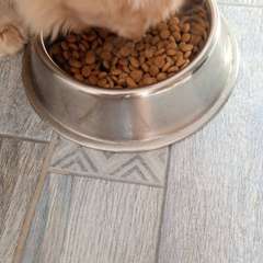 Фото отзыва 11155994