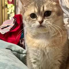 Фото отзыва 10658898