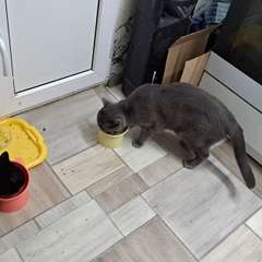 Фото отзыва 10716650