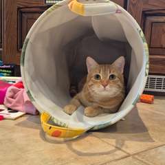 Фото отзыва 11212121