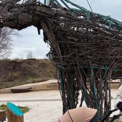 Фото отзыва 11264231