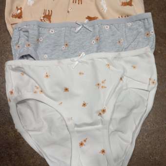 Трусы Day and Night 3 шт: отзыв пользователя Детский Мир