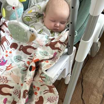 Стульчик для кормления Babyton Combi Care Green: отзыв пользователя Детский Мир