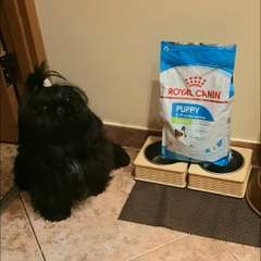 Фото отзыва 10716333