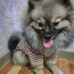 Фото отзыва 9734922