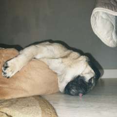 Фото отзыва 10850774