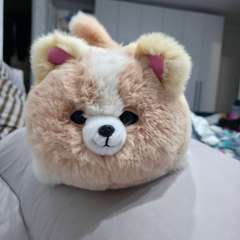 Фото отзыва 10915328