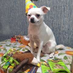 Фото отзыва 10301667