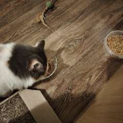 Фото отзыва 10760202