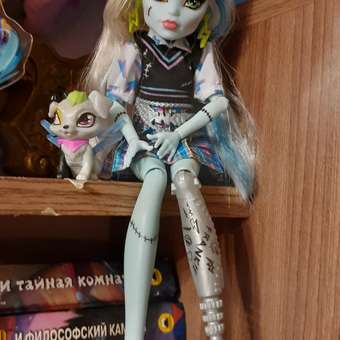 Кукла модельная Monster High Frankie: отзыв пользователя ДетМир