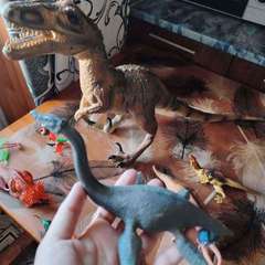 Фото отзыва 11283353