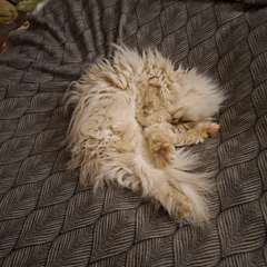 Фото отзыва 10777514