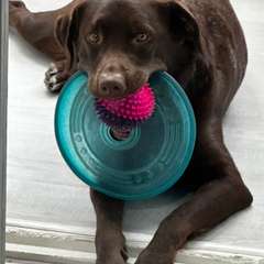 Фото отзыва 11134175