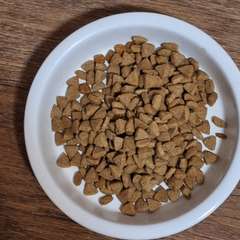 Фото отзыва 11082839