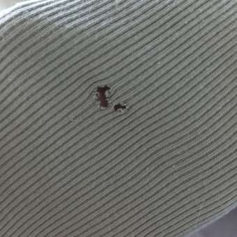 Комбинезон BabyGo: отзыв пользователя Детский Мир