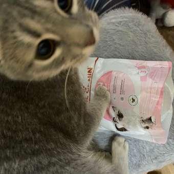 Корм сухой для котят ROYAL CANIN Kitten 300г: отзыв пользователя. Зоомагазин Зоозавр