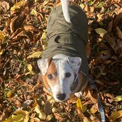 Фото отзыва 10618624