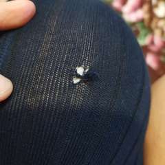 Фото отзыва 10634757