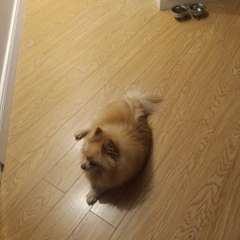 Фото отзыва 11143571