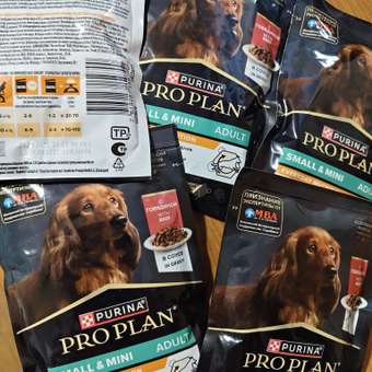 Корм для собак PRO PLAN взрослых говядина пауч 85г: отзыв пользователя. Зоомагазин Зоозавр
